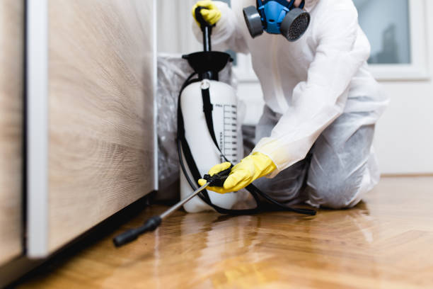 Best Exterminator Services  in Sturgis, SD