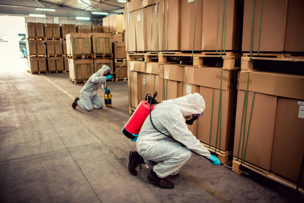 Best Best Pest Control Companies  in Sturgis, SD