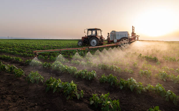 Best Best Pest Control Companies  in Sturgis, SD