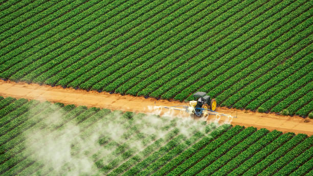 Best Pest Prevention Services  in Sturgis, SD