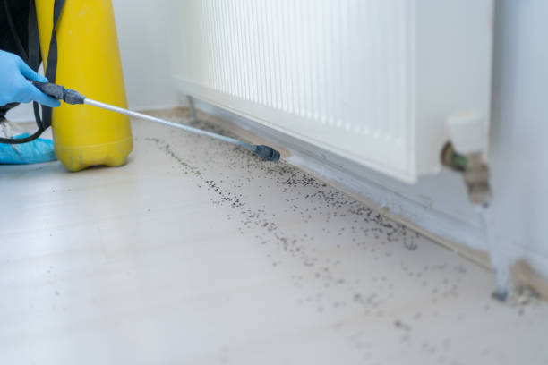 Best Residential Pest Control  in Sturgis, SD